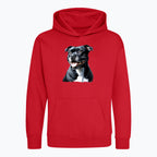 Bluza dziecięca z nadrukiem - Staffordshire Bull Terrier
